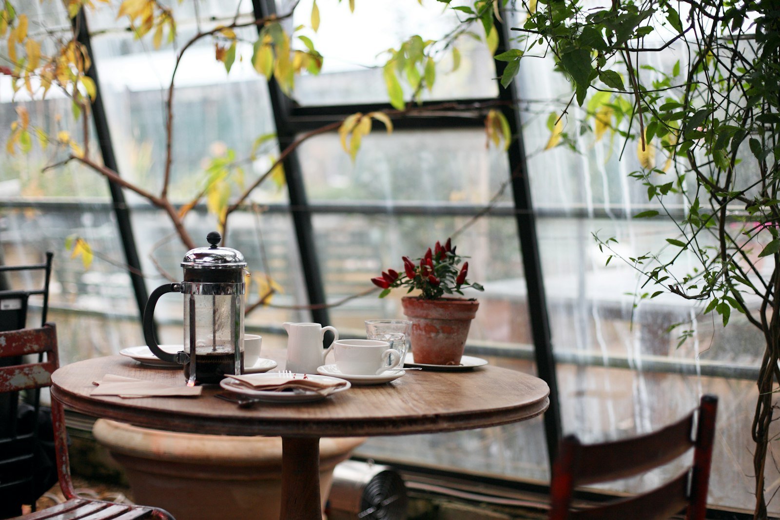 Bistró y café